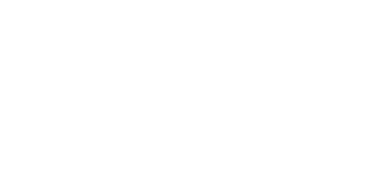 Frontier Consulting Group